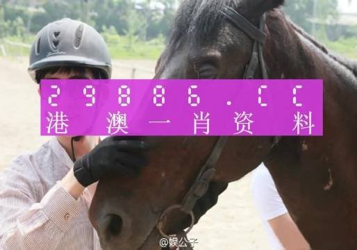 澳门今晚必中一肖一码今晚澳门，深入解答解释落实_终极版48.38.70